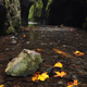Image for article titled 48 Photos Of Autumn Around The World